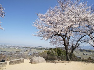 Amakashi-no-Oka