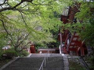 Approach to Shinbyo-Haisho