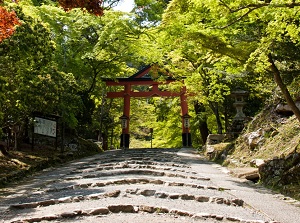 Sanno-Torii in Hiyoshi Shrine