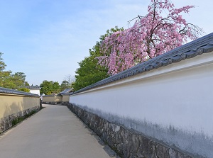 Street in Kokoen