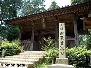 Niomon gate of Engyoji