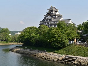 Okayama Castle by Asahi River