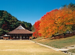 Koudo of Shizutani School in autumn