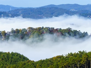 Bitchu-Matsuyama Castle on Sea of clouds