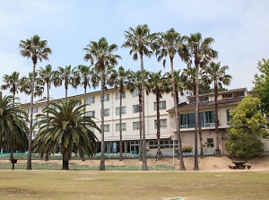 The hotel in Okunoshima