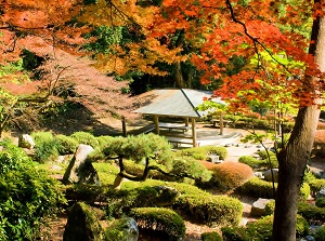 Kikko Park in autumn