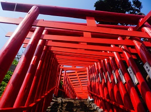 Torii gates of Motonosumi Shrine