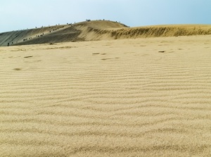 Ripple marks on Tottori Sand Dunes