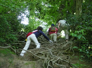 Climbing route to Nageiredo in Mount Mitoku