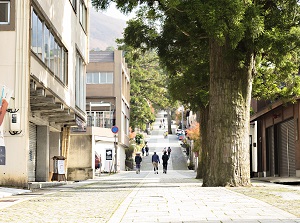 Approach to Daisenji