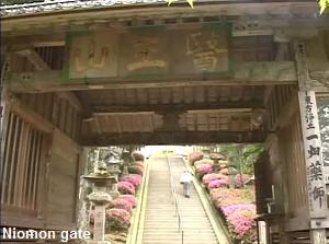 Niomon gate of Ichibata-Yakushi