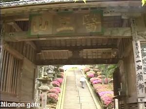 Niomon gate of Ichibata-Yakushi