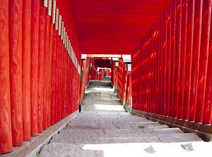 Torii gates of Taikodani-inari Shrine
