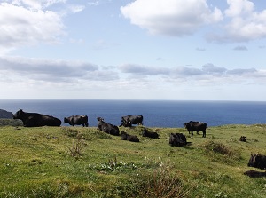 Kuniga Coast