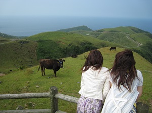 Akahageyama in Chiburijima