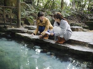 Kagami no Ike in Yaegaki Shrine