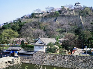 Marugame Castle