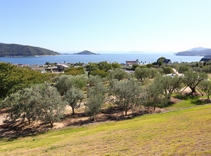 Shodoshima Olive Park