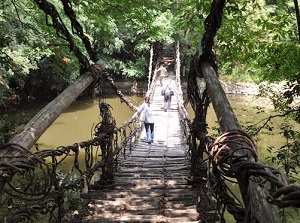 Old vine bridge in Shikoku-mura