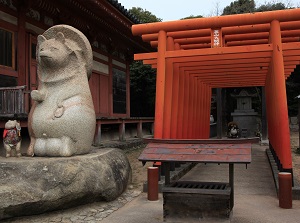 Statues of raccoon dog in Yashimaji