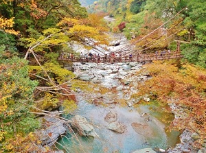 Kazura-bashi in Iya Valley