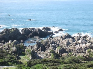 Coast of Cape Muroto