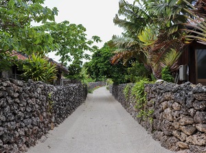 Village in Taketomi Island