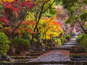 Approach to Hoheiden of Hikosan-jingu