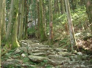 Path to Jogu of Hikosan-jingu