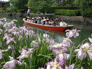 Boat tour in early summer