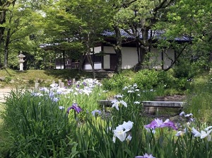 Kanzeonji in early summer