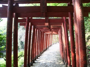 Slope to Okunoin in Yutoku Inari Shrine