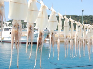 Dried squids in Yobuko town