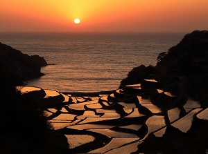 Hamanoura Rice Terrace at sunset