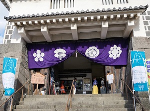 Entrance of castle tower of Castle