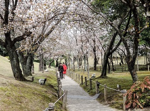 Path in Suizenji Jojuen