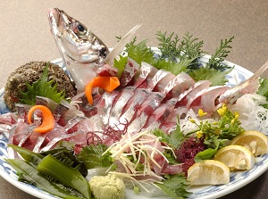 Sashimi of Seki-Aji