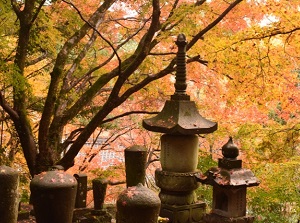 Fukiji in autumn