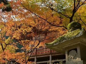 Futagoji in autumn