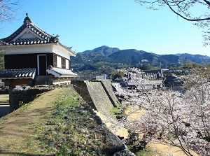 Usuki Castle in spring