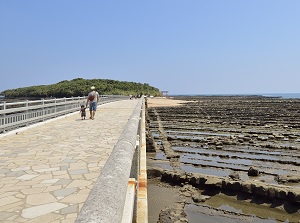 Bridge to Aoshima island