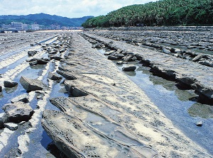 Oni-no-Sentakuita around Aoshima island