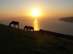 Sunrise at Cape Toi