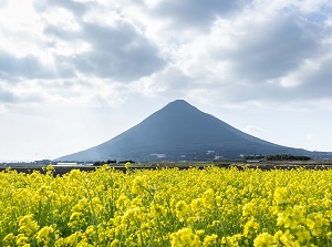 Mount Kaimon in spring