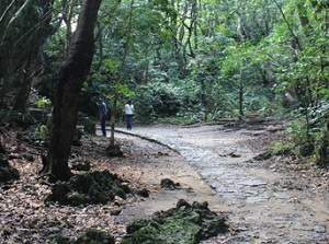 Approach to Seifa-Utaki