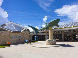 Okinawa Churaumi Aquarium