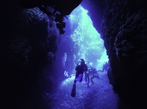 Diving spot around Kerama islands