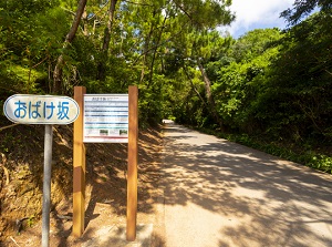 Obake-zaka in Kume Island