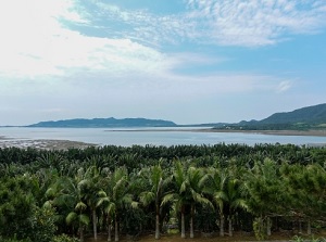 Scenery of a coast in Ishigaki Island