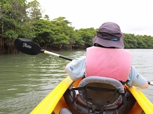 Canoe tour in Miyara River